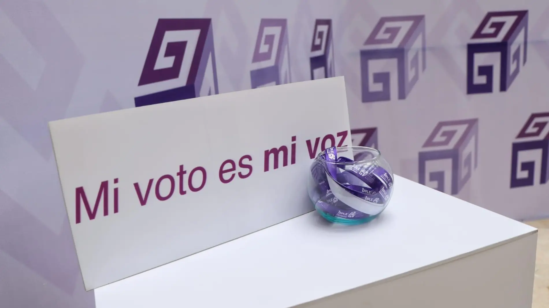 OPLE | Elecciones